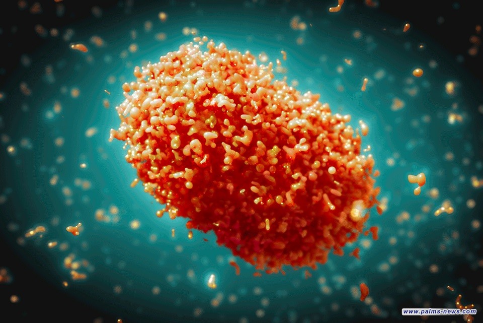 الصحة العالمية تحذر بشدة  من وباء "إمبوكس"